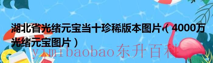 湖北光绪元宝当十价格表2023 湖北光绪元宝当十直径和重量