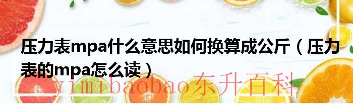压力表的mpa是啥意思 压力表中的mpa是什么意思