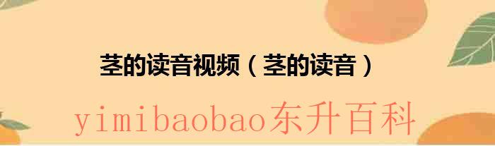 茎读音是什么意思 茎读音是什么