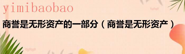 商誉是无形资产嘛?（商誉也是无形资产）