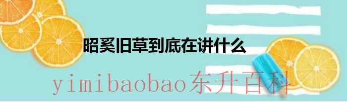 昭奚旧草写了多久 昭奚旧草说的什么