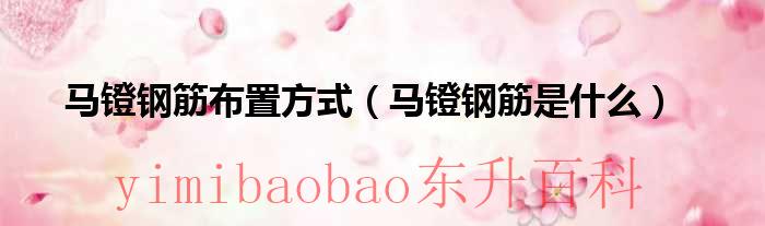 马镫钢筋规范 马镫钢筋规范的钢筋直径