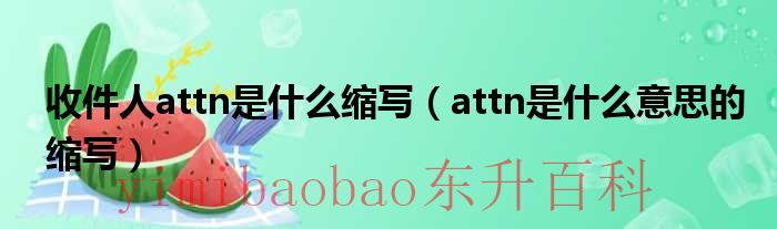 收件人attn是什么缩写（attn是什么意思的缩写）
