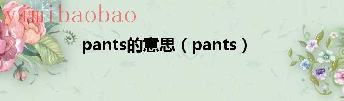 pants的意思pants