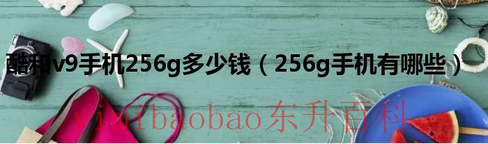 酷池5g手机 酷和V9手机256g多少钱
