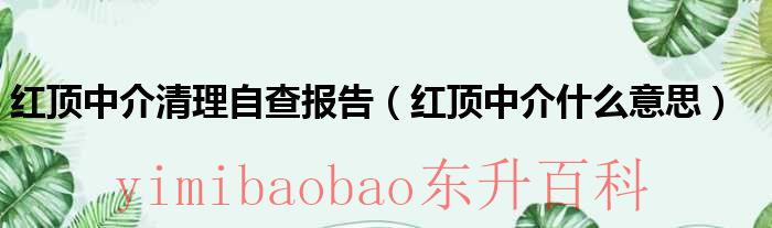 中介公司自查报告怎么写 中介业务自查报告