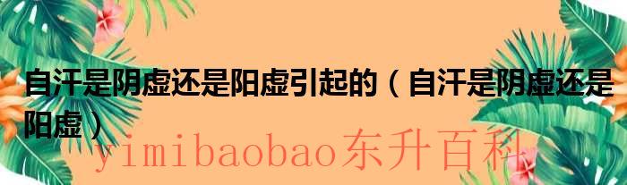 自汗是阴虚还是阳虚吃六味地黄丸吗 自汗是阴虚还是阳虚引起的原因