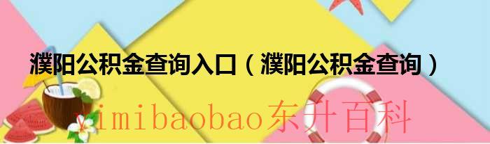 濮阳市公积金查询网站 濮阳市公积金查询官网