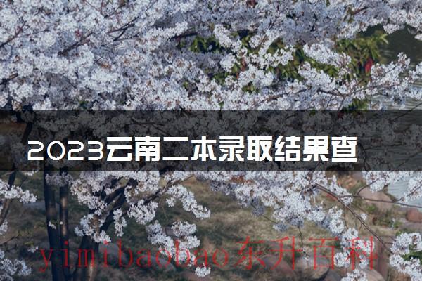 2021年云南二本录取结果 2023云南二本录取结果查询
