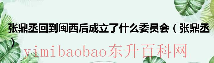 张鼎丞的堂妹（张鼎丞回到闽西后成立了什么委员会）