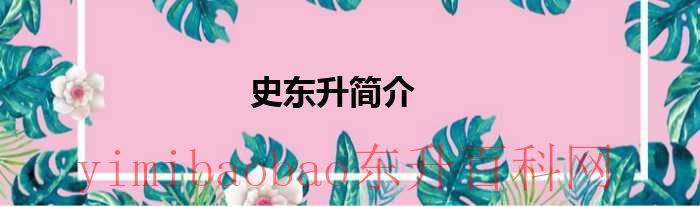史东斌简介（史东斌个人简历）