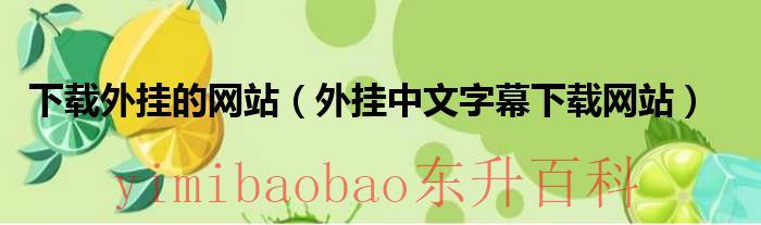 下载外挂的网站（外挂中文字幕下载网站）