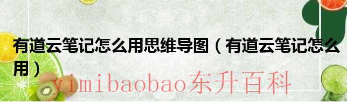 有道云笔记的文件怎么下载到手机上 有道云笔记有思维导图功能吗
