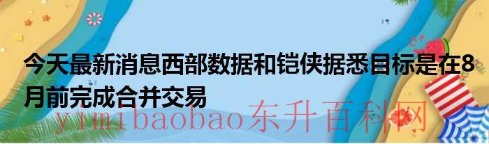 西部数据股票新浪（西部数据股票行情）