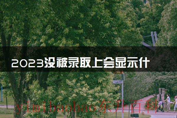 没有录取到会显示什么 没录取上会显示没录取吗
