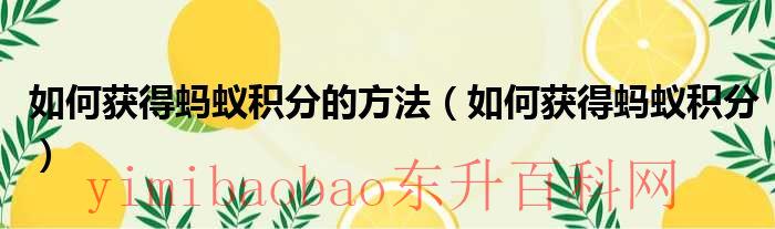 如何获得蚂蚁积木（如何获得蚂蚁积分的方法）