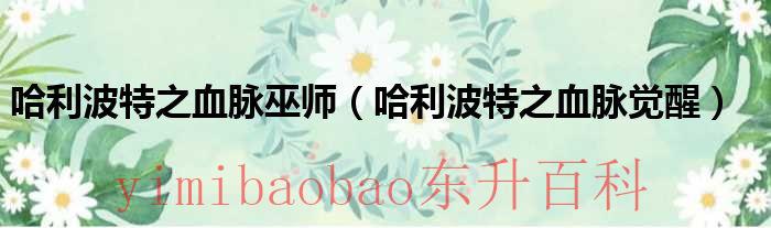 哈利波特之血脉巫师免费阅读 哈利波特之血脉巫师无弹窗笔趣阁