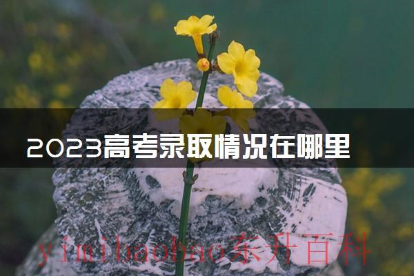 2921年高考录取 202年高考录取情况怎么查询