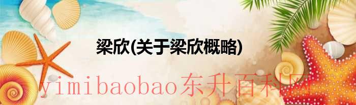 梁欣是谁（梁欣简介）