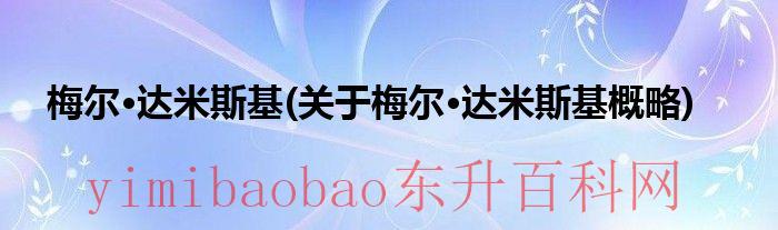 米克尔达姆斯高（米克尔·达姆斯高）