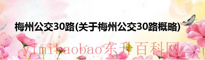 梅州39路公交视频（梅州公交30路关于梅州的路线）
