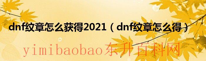 dnf纹章在哪里装备（dnf纹章干嘛用的）