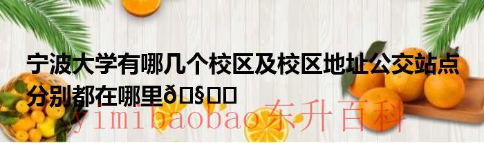 宁波大学有哪几个校区 宁波大学有哪几个校区分别是