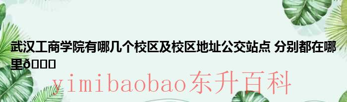 武汉工商学院有多少亩 武汉工商学院有几个院
