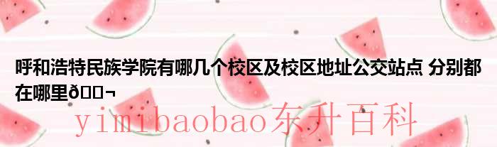 呼和浩特民族学院录取查询 呼和浩特民族学院有哪些专业