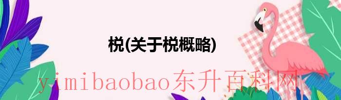关于概括的作文600字（关于概括的作文）