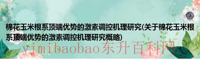 玉米根系最深扎多深（玉米根系最大的扩展范围）