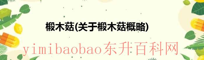 椴木菇多少钱一斤（椴木菇怎么做好吃）