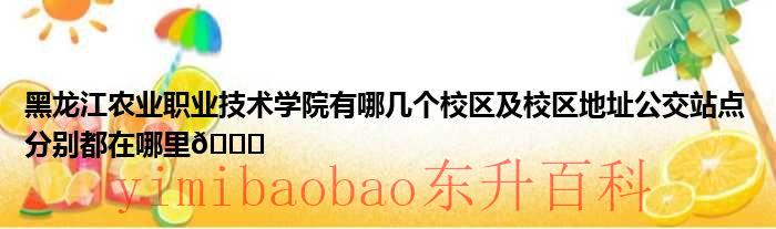 黑龙江农业职业技术学院是公办的吗 黑龙江农业职业技术学院分院