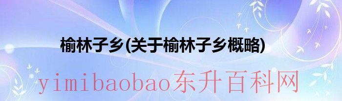 正宁县榆林子镇政府电话（榆林子镇政府办公处电话）