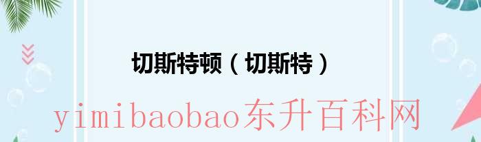 切斯特新增几个npc（切斯特死了还能复活吗）