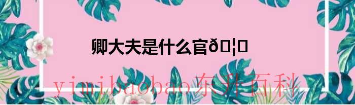 卿大夫是什么官