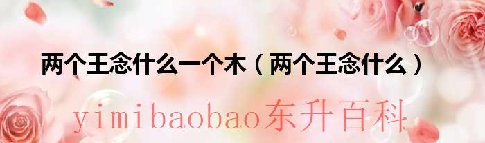 两个王念啥 两个王念什么一个木字旁的字