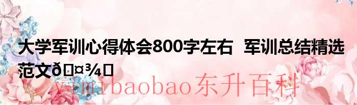 大学军训心得体会 大学军训心得体会800字高中生