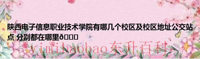 陕西电子信息学校招生简章 陕西电子信息职业技术学院院长