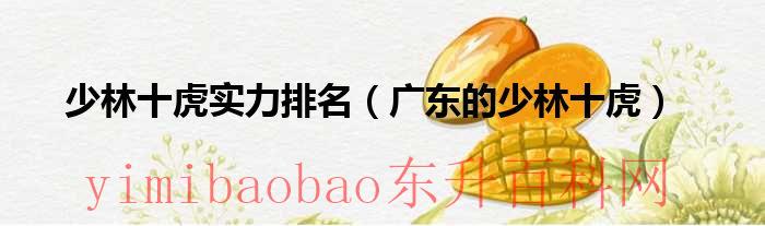 少林十虎实力排名（广东的少林十虎）