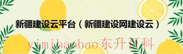 新疆建设云平台（新疆建设网建设云）