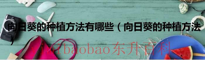 向日葵的种植方法有哪些 向日葵的种植方法?