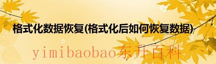 格式化数据恢复格式化后如何恢复数据