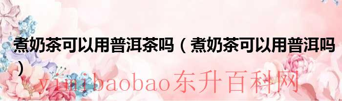 煮奶茶用普洱（煮奶茶可以用普洱茶吗为什么）