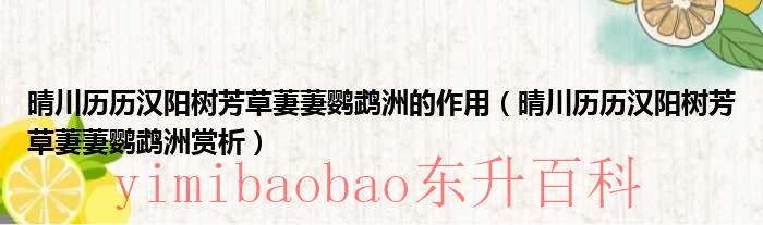 晴川历历汉阳树芳草萋萋什么洲 晴川历历汉阳树芳草萋萋鹦鹉洲