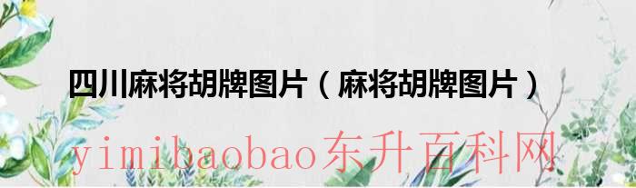 四川麻将胡牌牌型组合（四川麻将胡牌图片大全）