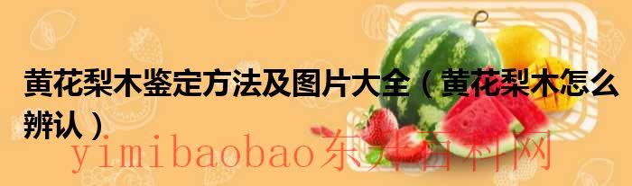 黄花梨木怎么看真假（黄花梨木怎么看真假）