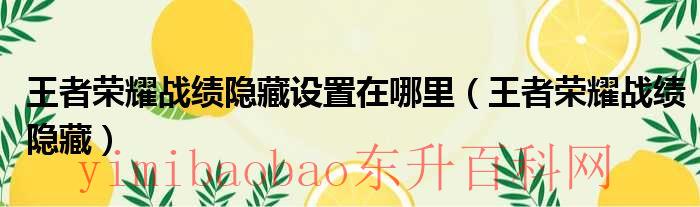 王者荣耀战绩隐藏了怎么打开（王者荣耀战绩隐藏怎么设置）