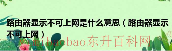 换路由器后上不了网怎么设置（路由器显示不可上网啥意思）