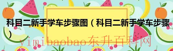 科二新手学车视频教程（科目二新手学车步骤图）